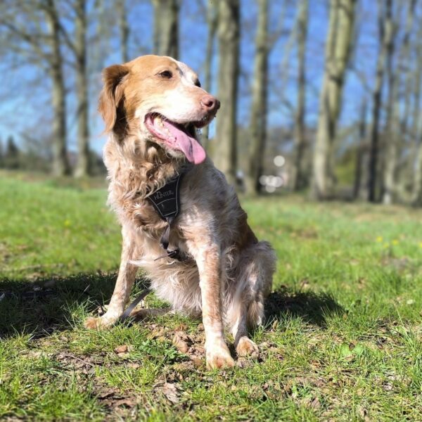 Max (6 jaar) in gastgezin in Nederland