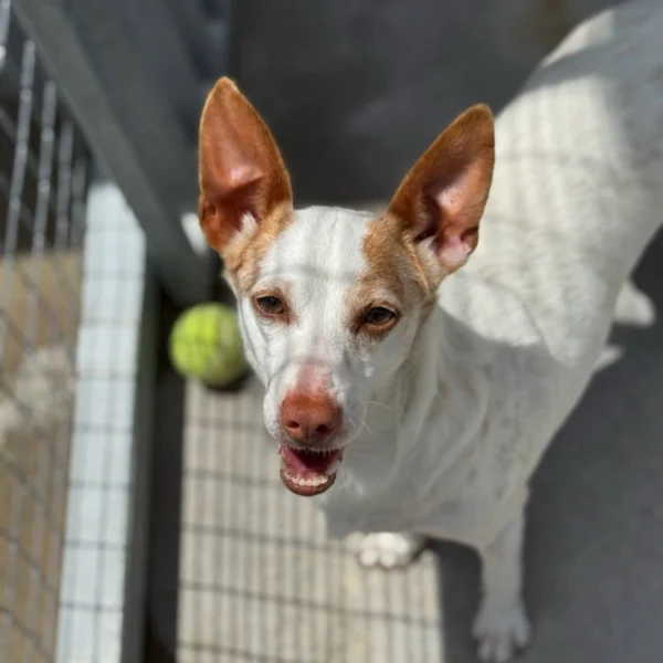 Fanny  is gereserveerd