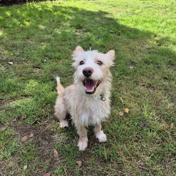Joana (2 jaar) in gastgezin in Nederland